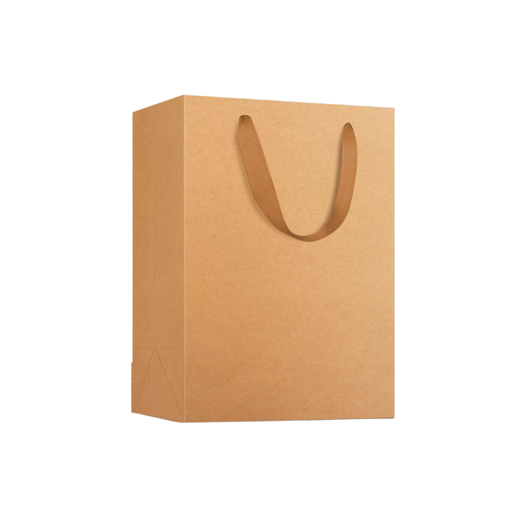 Kraft paper bag with cotton handles